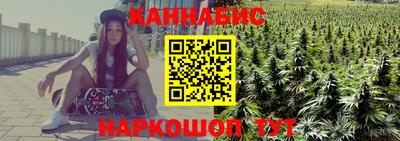 прущие грибы Гусиноозёрск