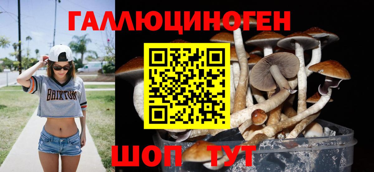 Галлюциногенные грибы прущие грибы Губкинский